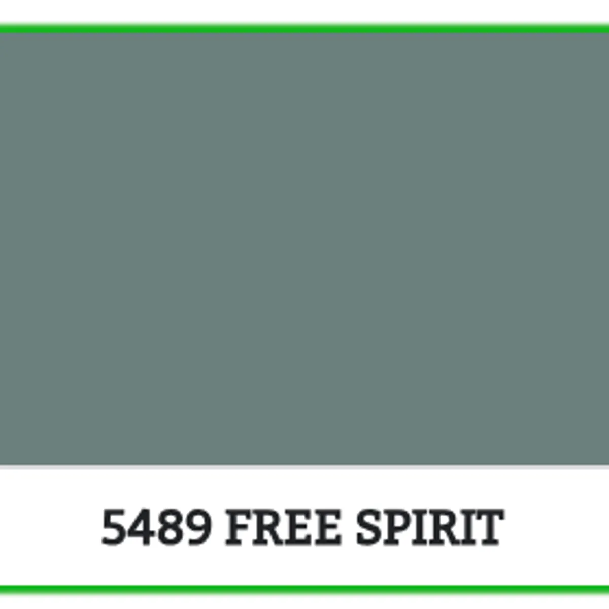 5489 - FREE SPIRIT - 9 L - Maling