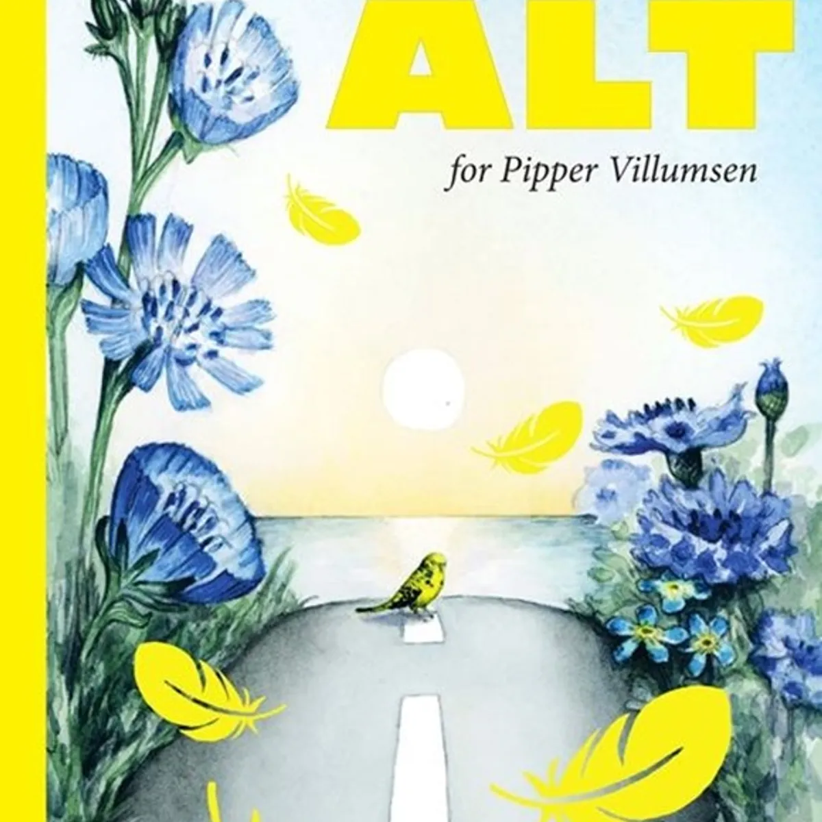 Alt for Pipper Villumsen