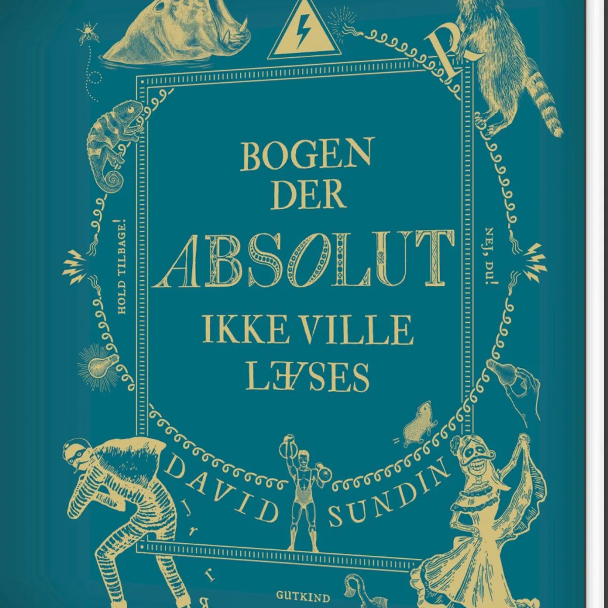 Bogen Der Absolut Ikke Ville Læses - David Sundin - Bog