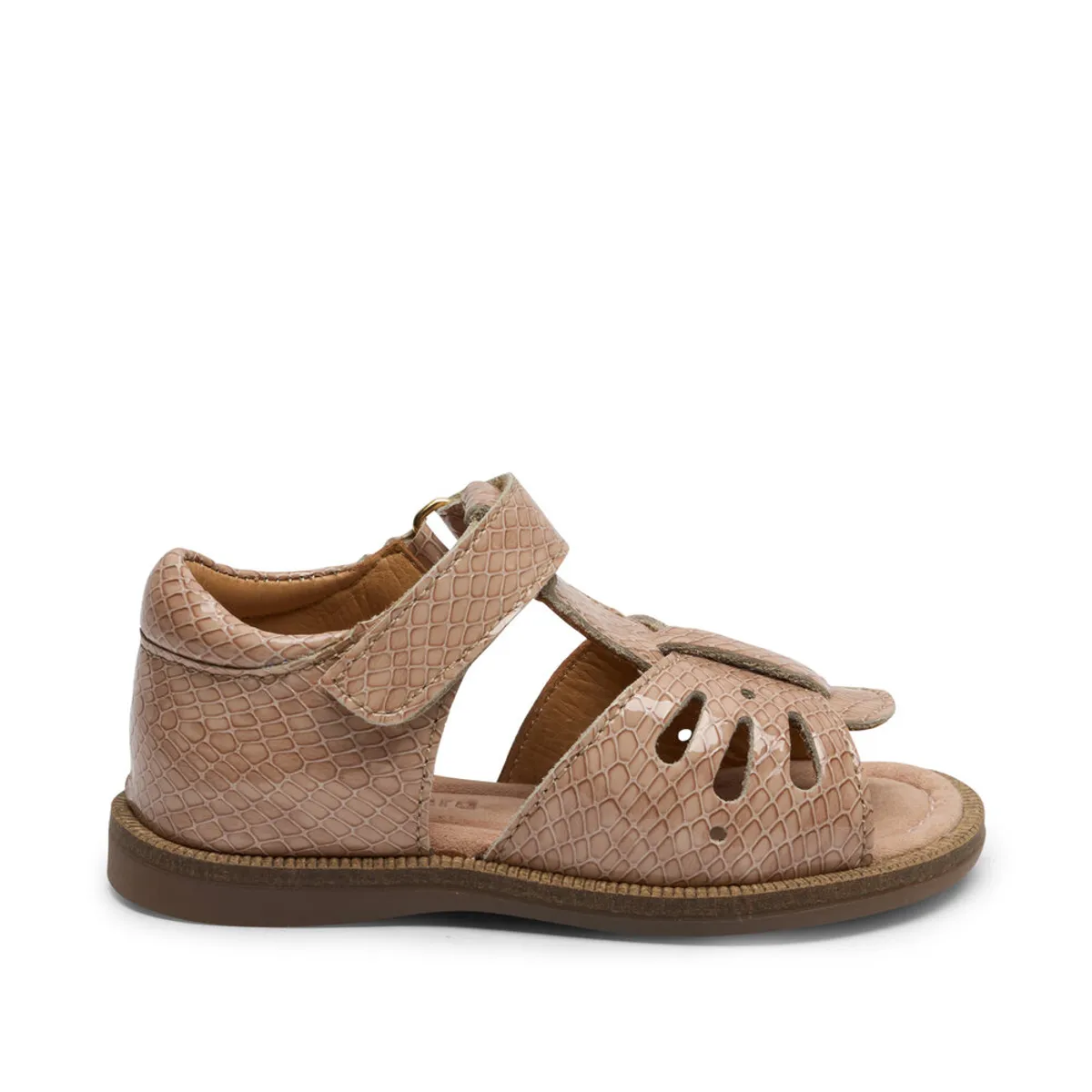 Cassidy c - camel croco - 31