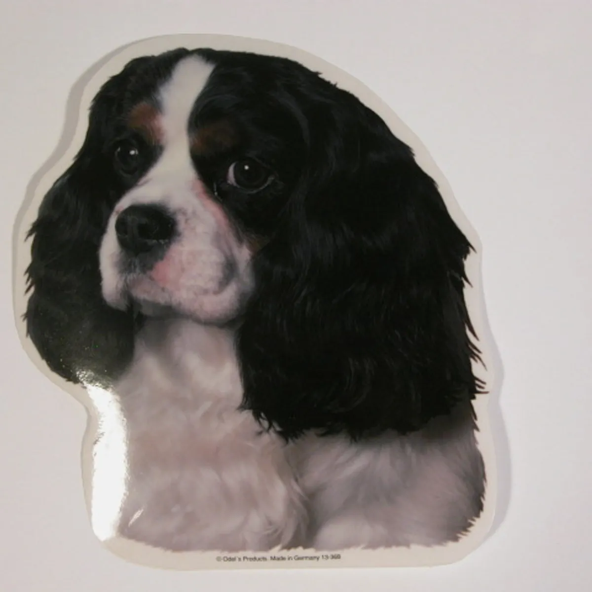 Cavalier King Charles Spaniel, Sort, hv. Vælg: klistermærke, nøglering, broche, slipsenål, mm.