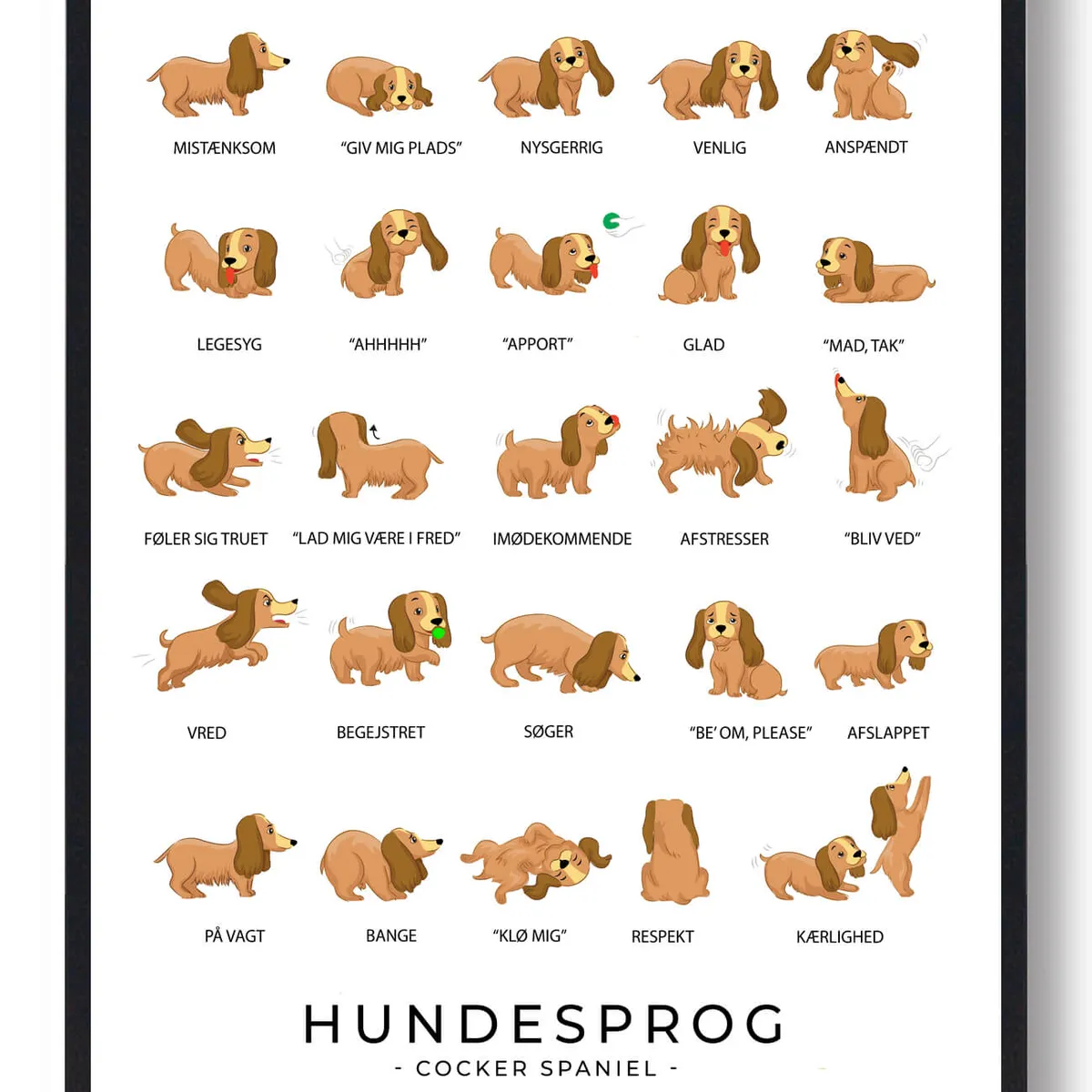 Cocker spaniel - Hundesprog plakat (Størrelse: L - 50x70cm (B2))