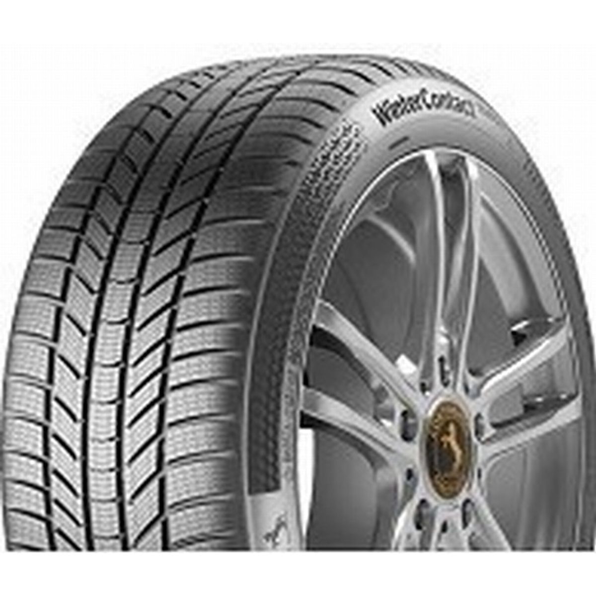 Continental WINTER TS 870 P 205/45R17