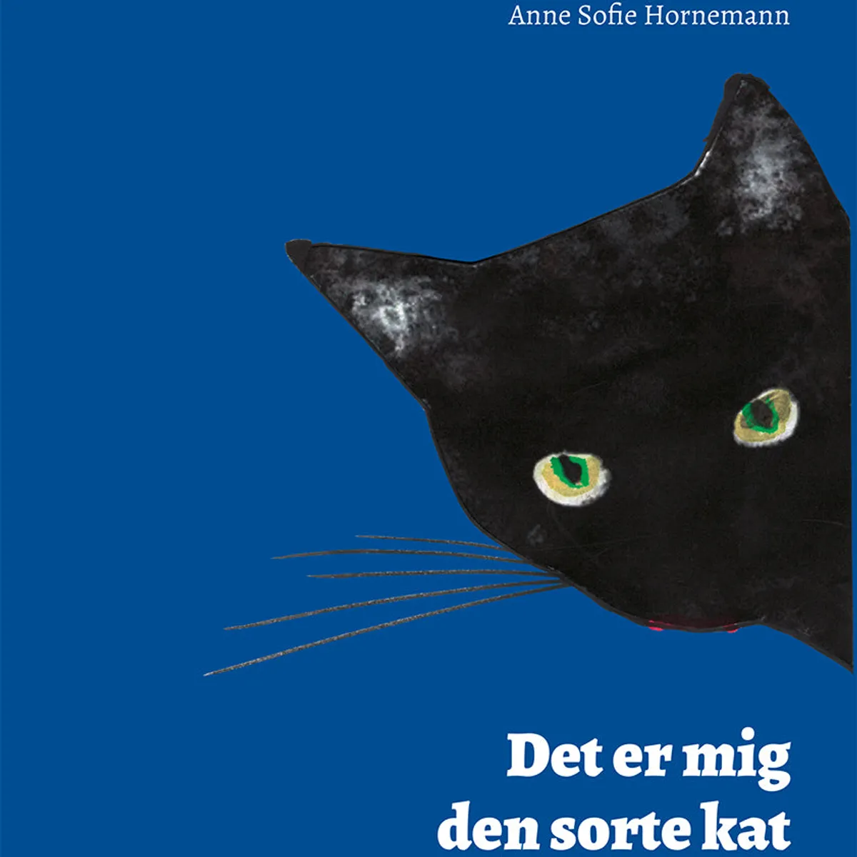 Det er mig den sorte kat