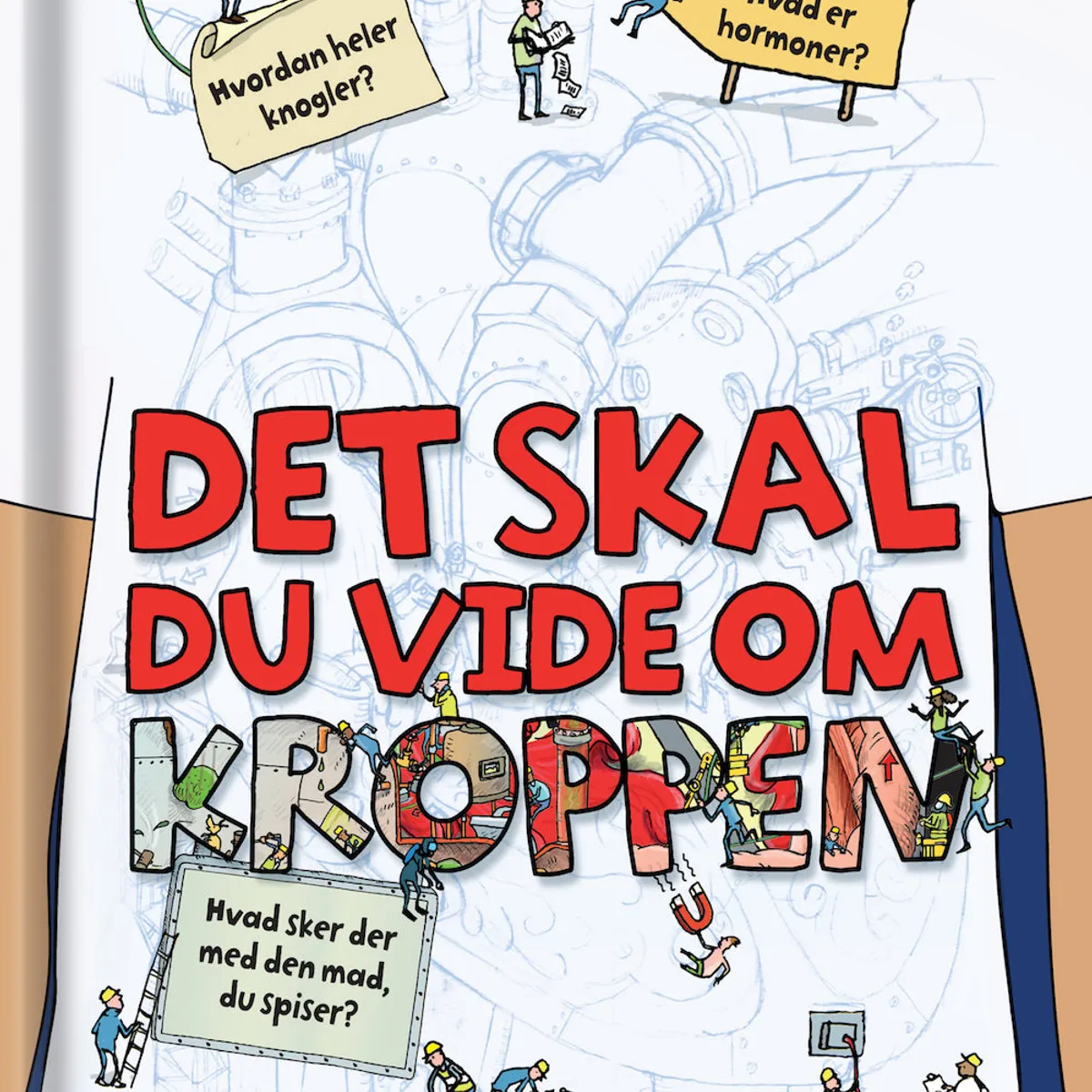 Det skal du vide om kroppen