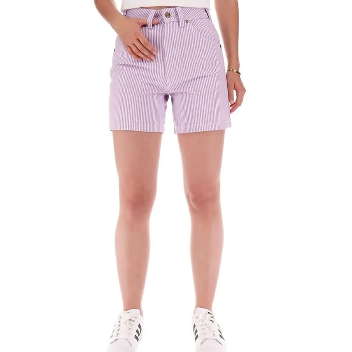 Dickies Shorts - Hickory - Purple Rose