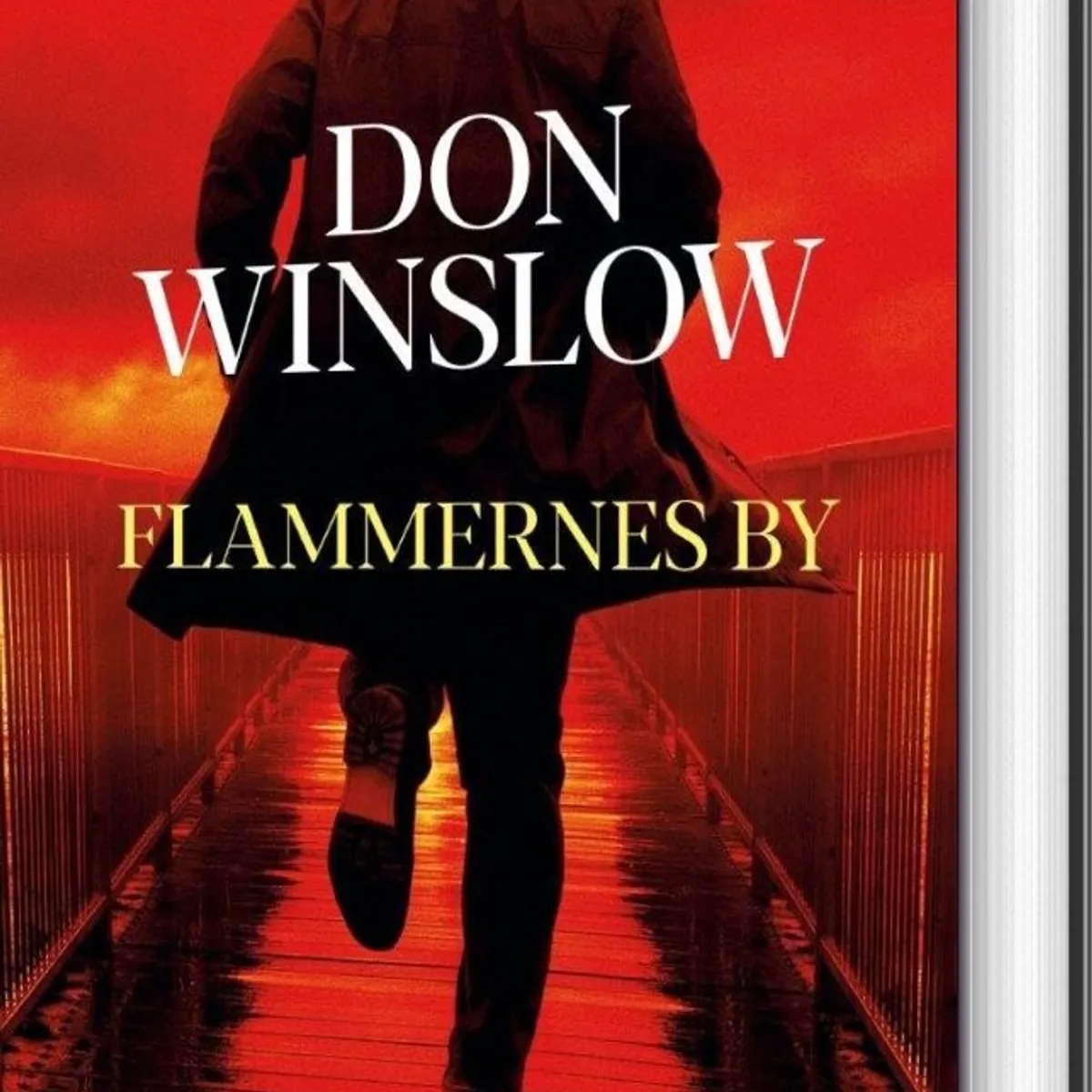 Flammernes By - Don Winslow - Bog