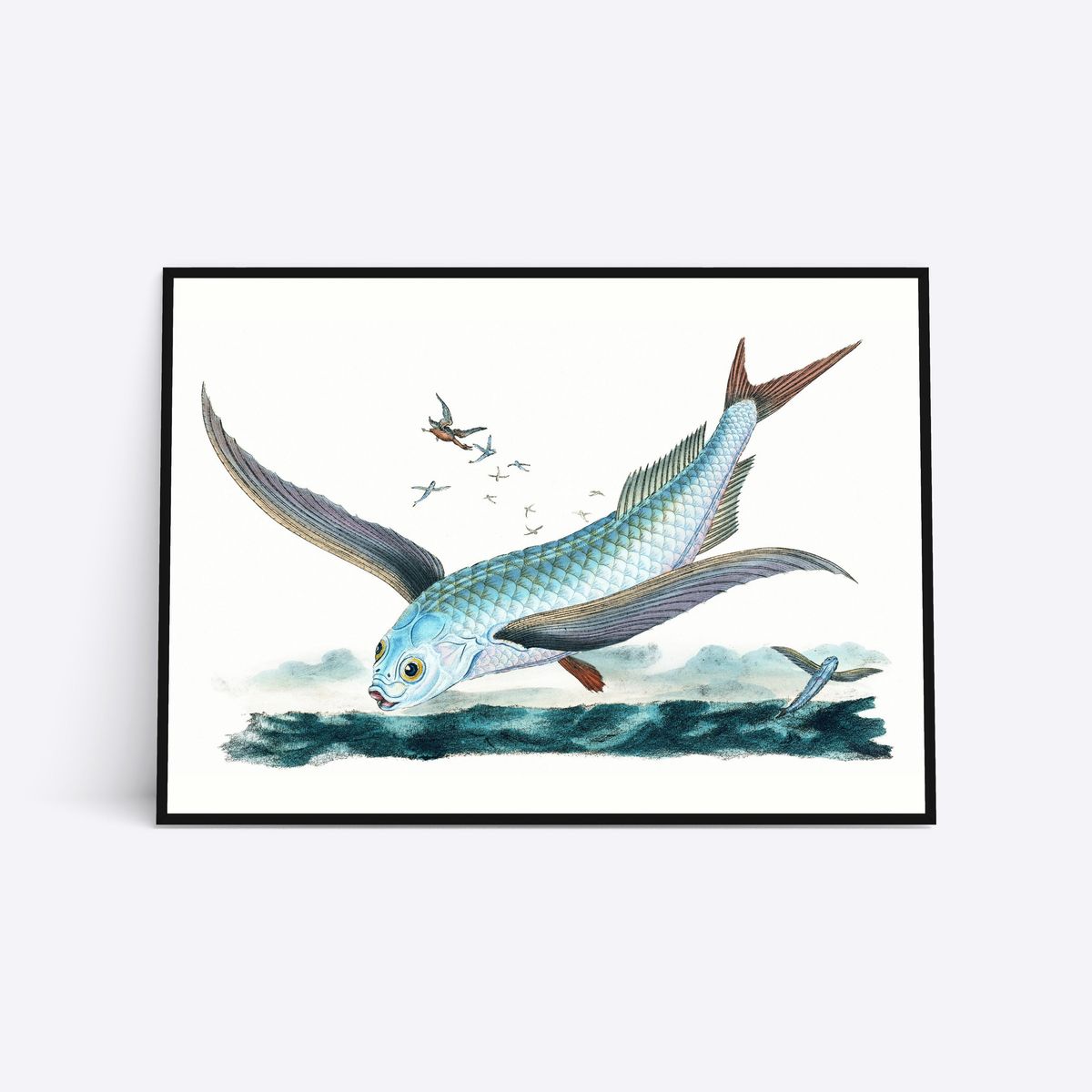 Flying Fish Vol. 2 - 30x40 cm