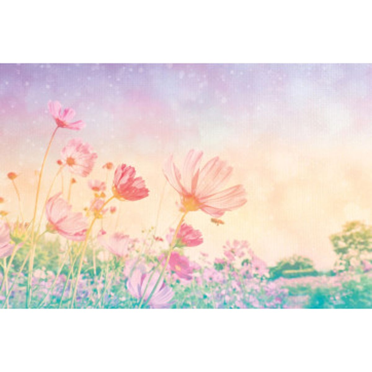 Fototapet - Vintage Pastel Flowers