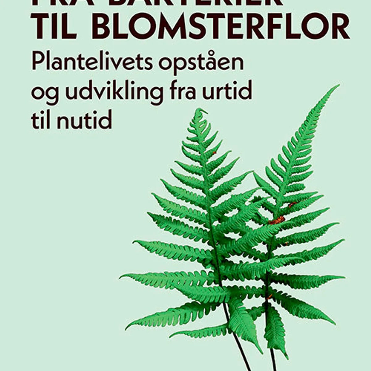 Fra bakterier til blomsterflor