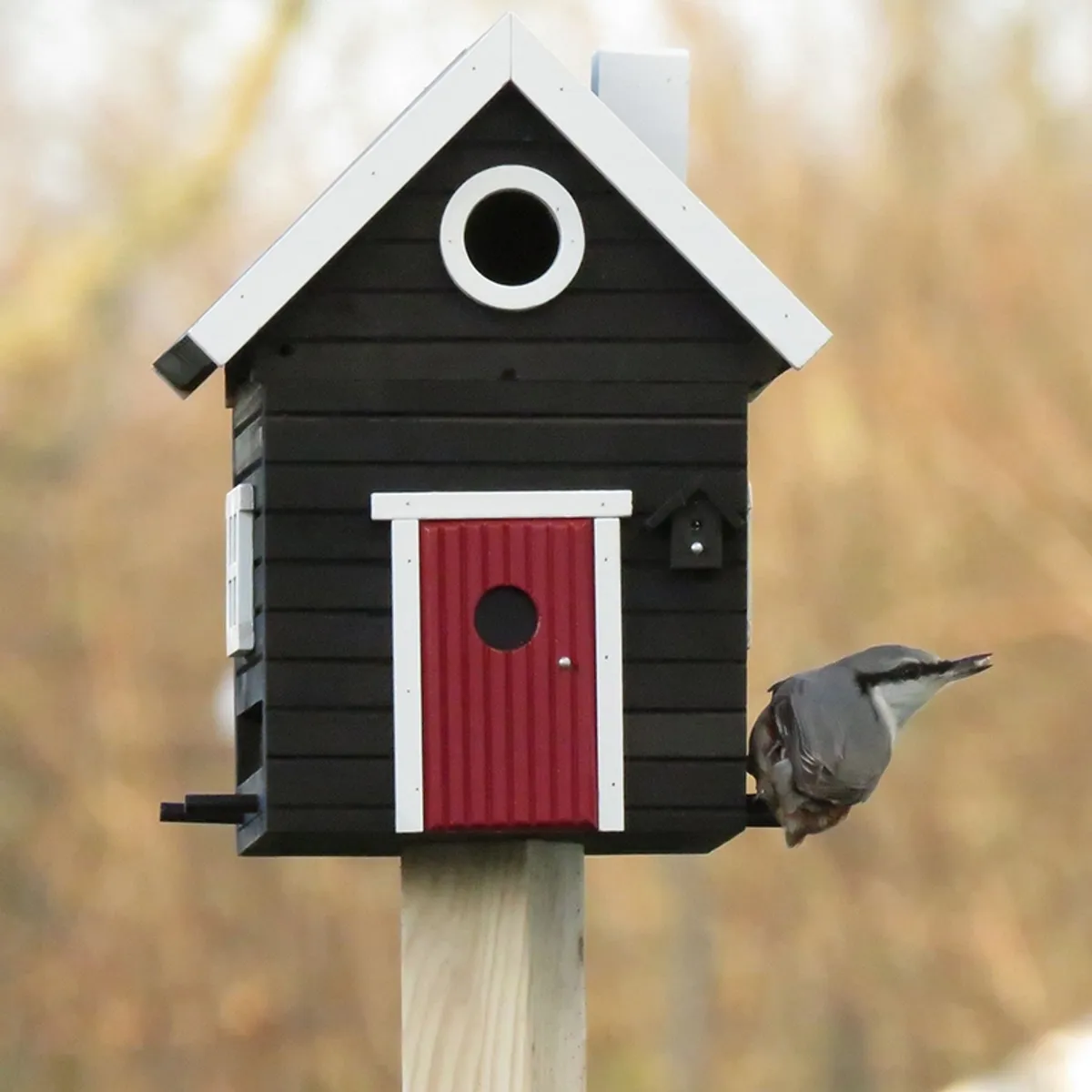 Fuglehus Wildlife Garden - Sort Hytte