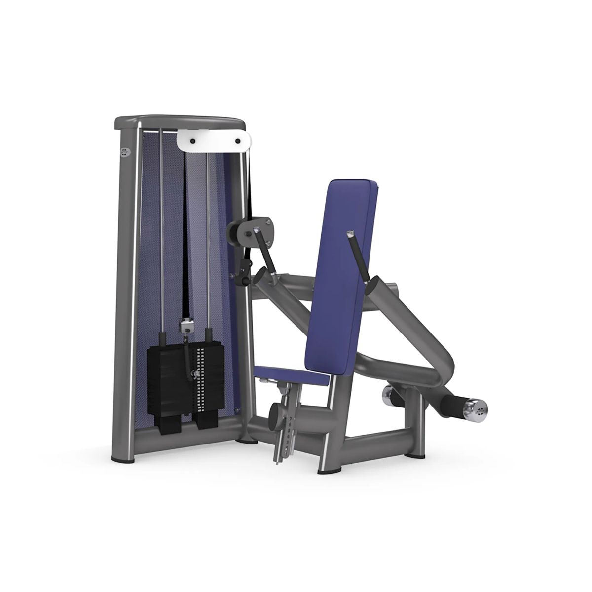 gym80 Sygnum Dip Machine