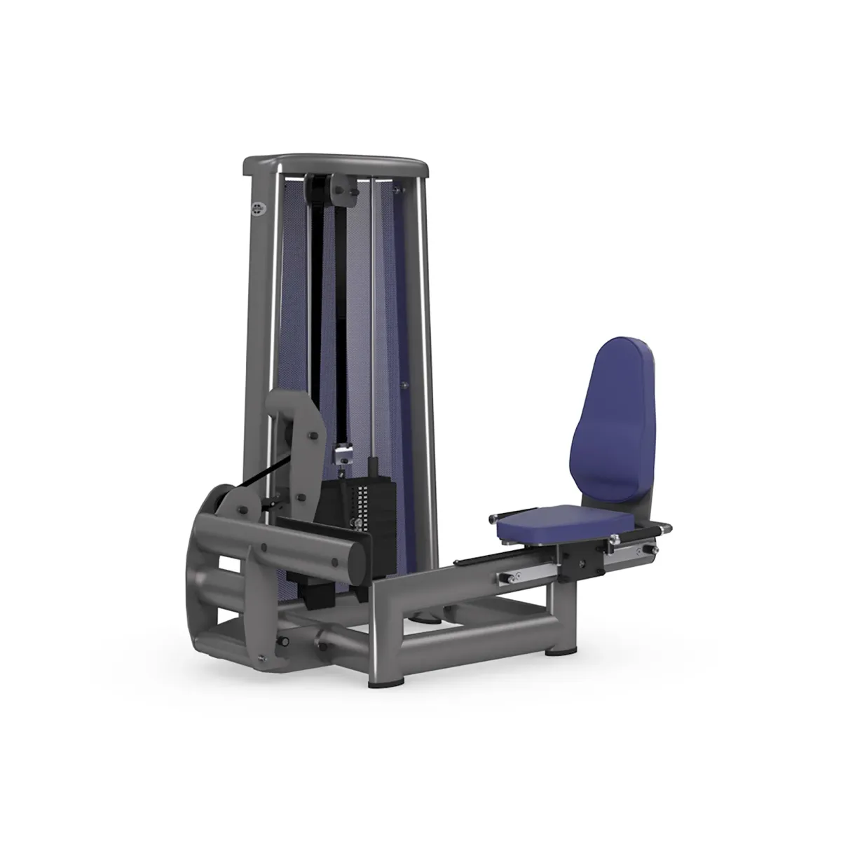 gym80 Sygnum Seated Calf