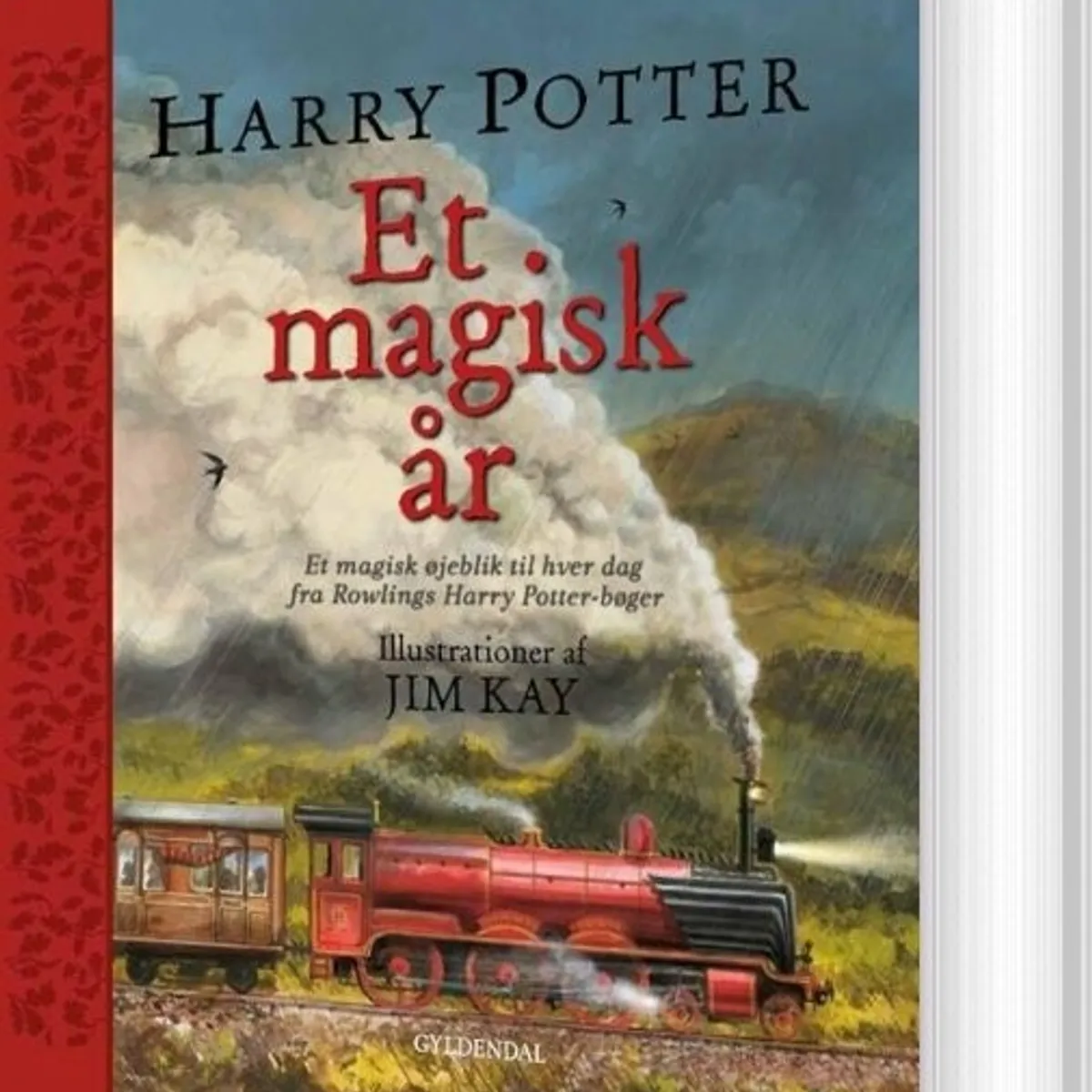 Harry Potter - Et Magisk år - J. K. Rowling - Bog