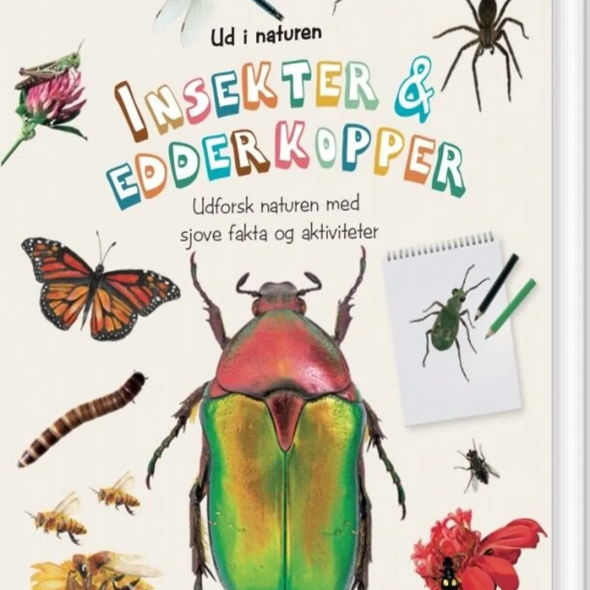 Insekter Og Edderkopper - Diverse - Bog