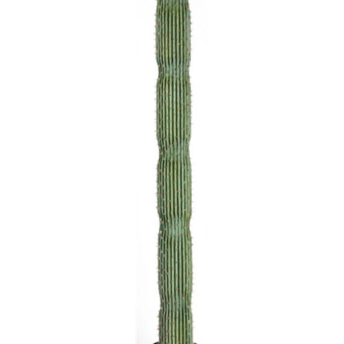 Kunstig Euphorbia kaktus H163 cm