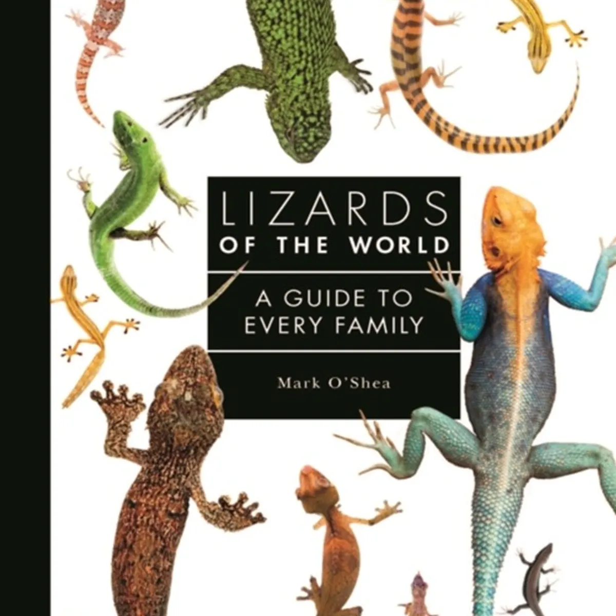 Lizards of the World