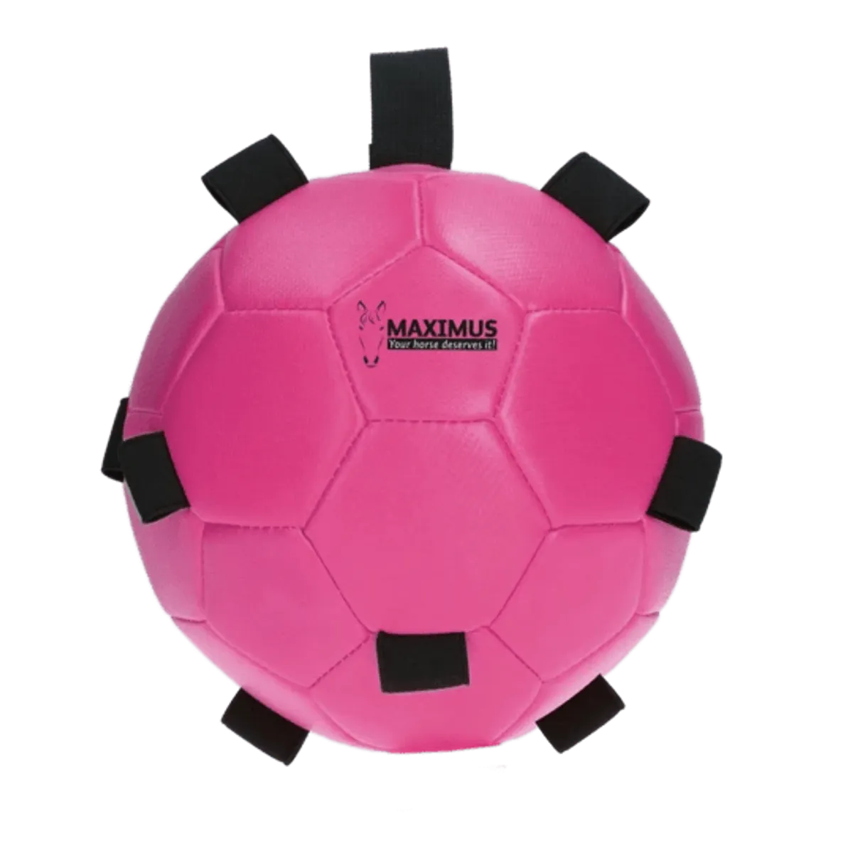 Maximus Fun Play Ball Pink