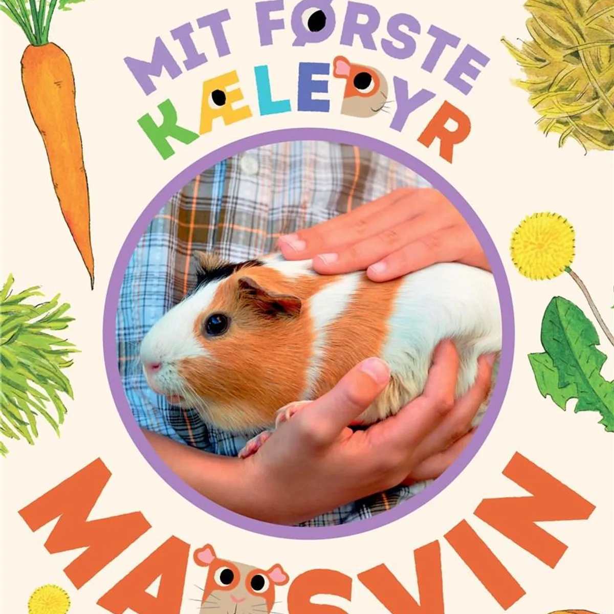 Mit første kæledyr - marsvin