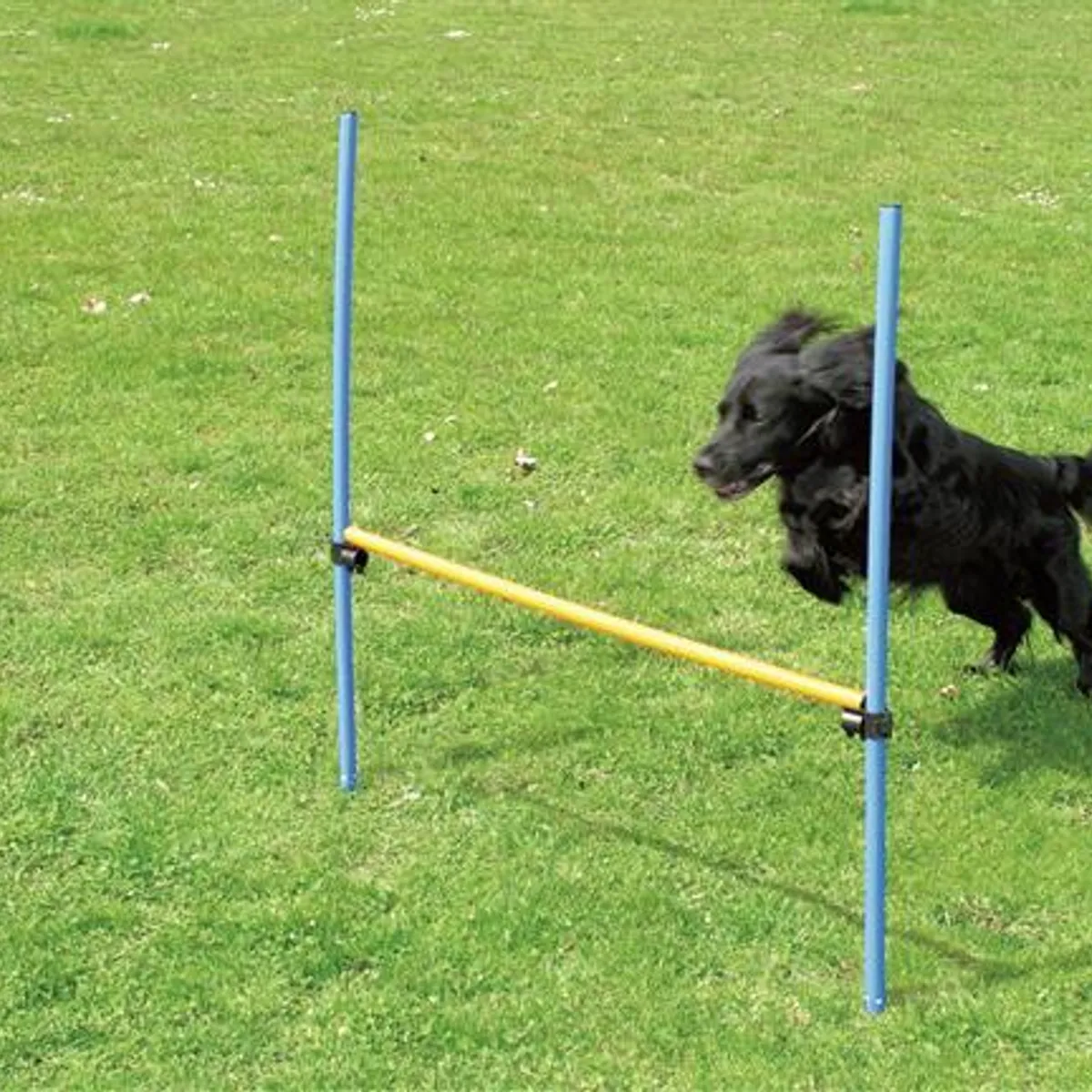 Pawise Agility Spring - 116cm