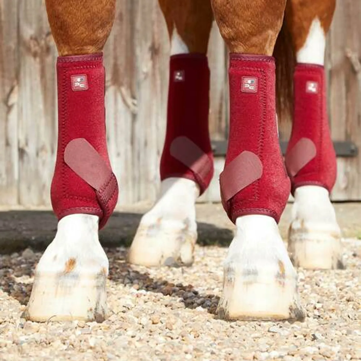 Premier Equine Air-Tech Sports Medicine Boots - Hvid, XXS