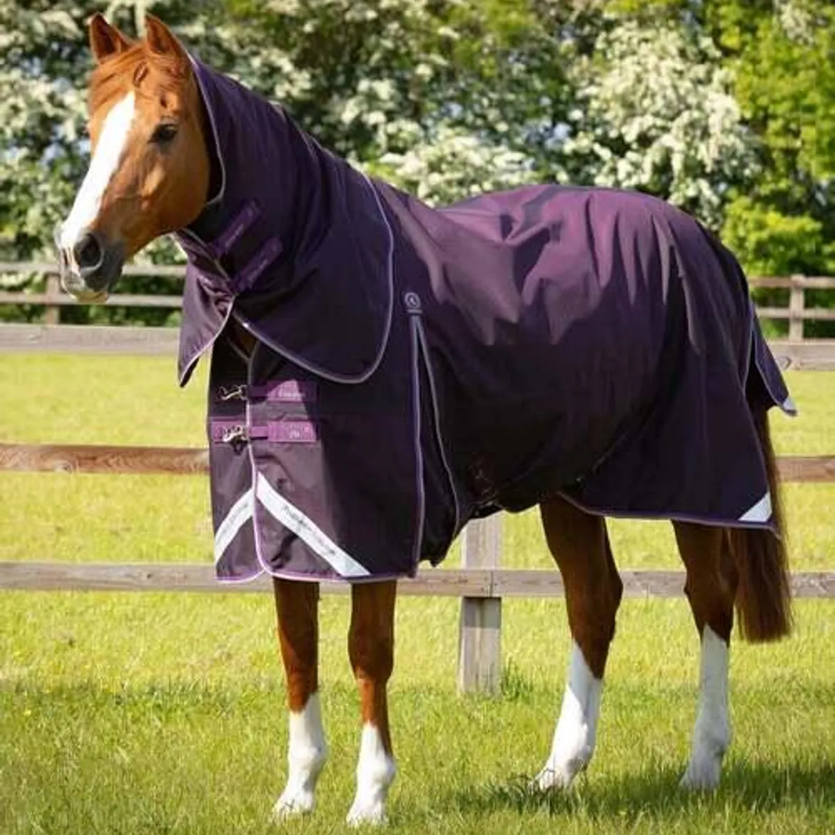 Premier Equine Buster 70g dækken med aftagelig hals - Lilla - 7,0 165cm