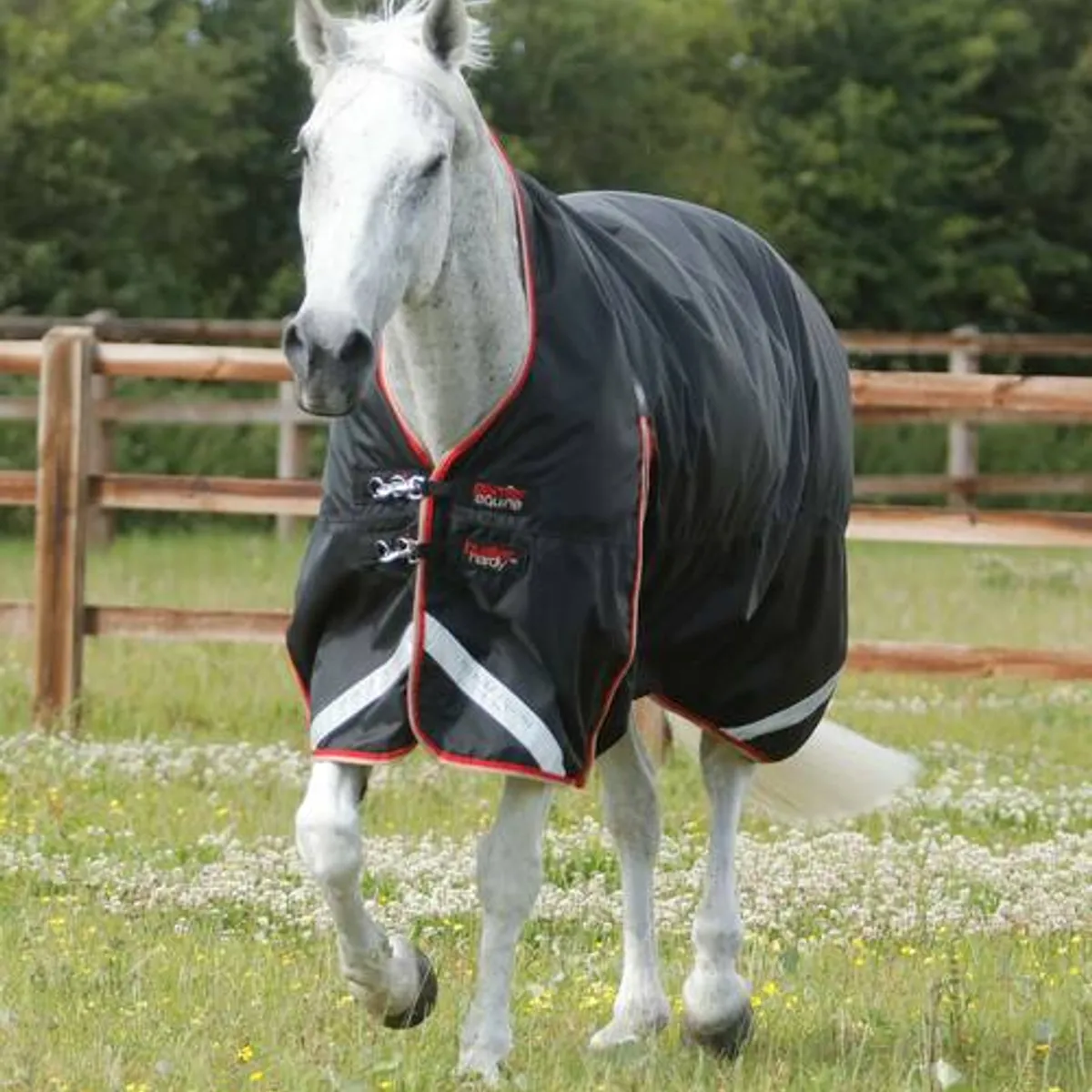 Premier Equine Buster Hardy dækken 100g med høj hals - Sort - 5,9 130cm