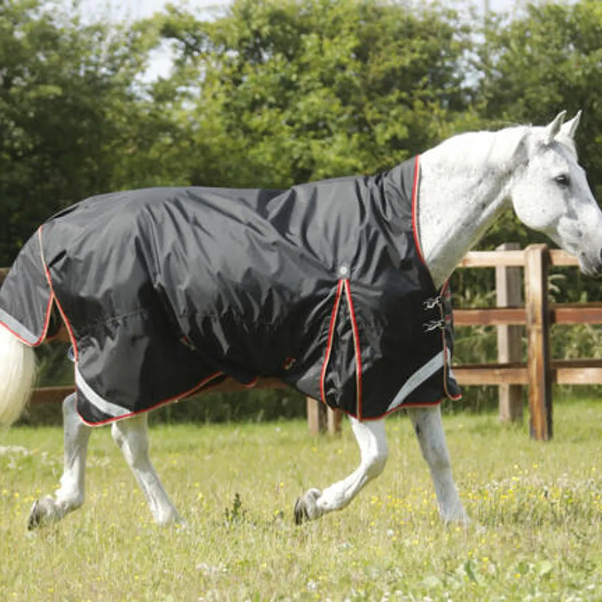 Premier Equine Buster Hardy Turnout dækken 0g - Wither Pressure Relief - 5,3" (120cm), Navy