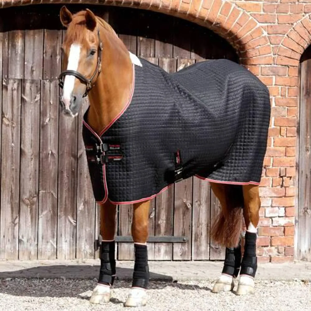 Premier Equine Dry-Tech Horse Cooler dækken - Sort - 6,0" (135cm)