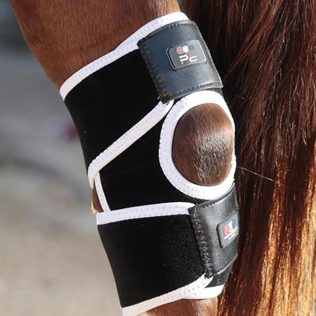 Premier Equine Magni-Teque Magnet hase bandage - Par