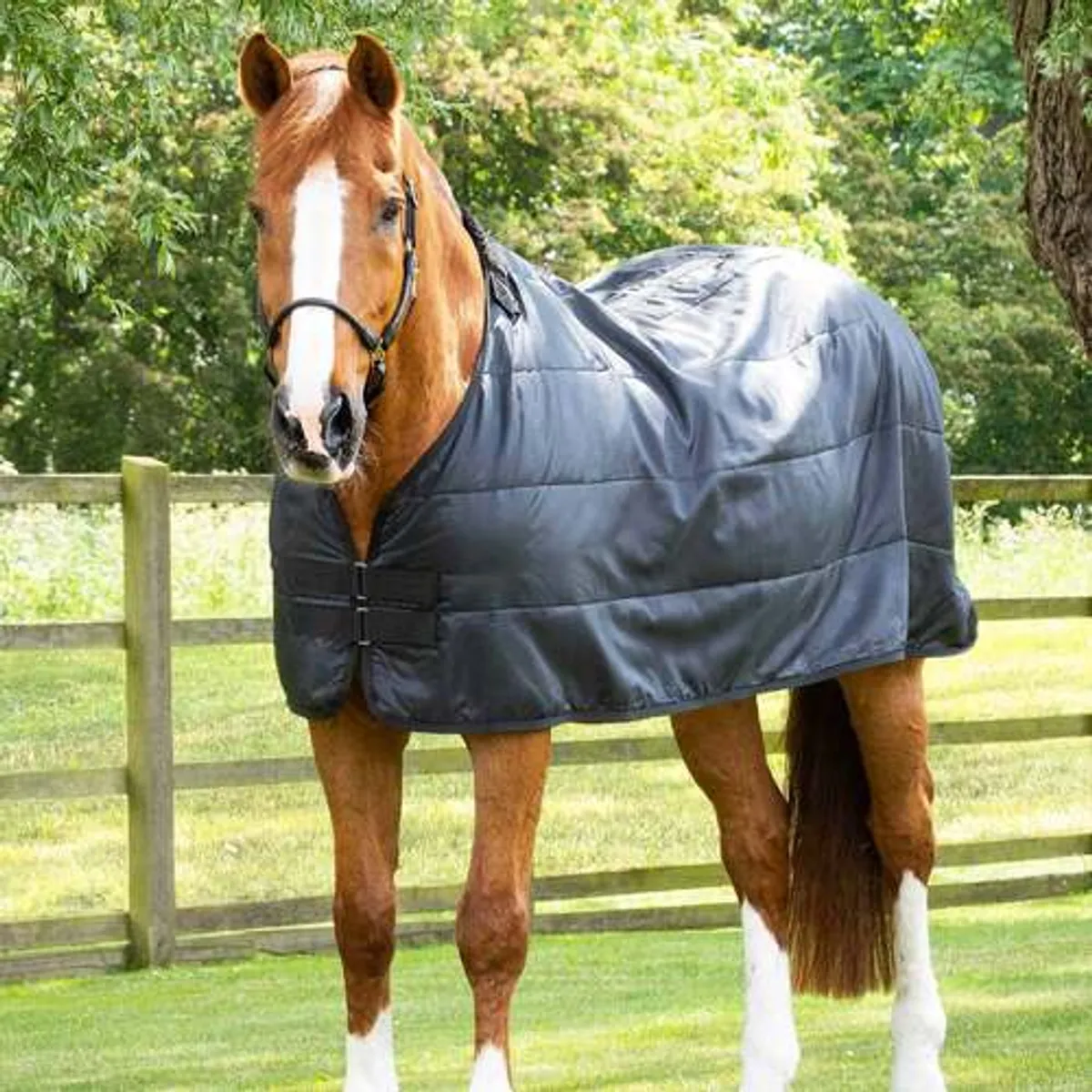 Premier Equine Standard dækken liner - 350g - 5,6 125cm