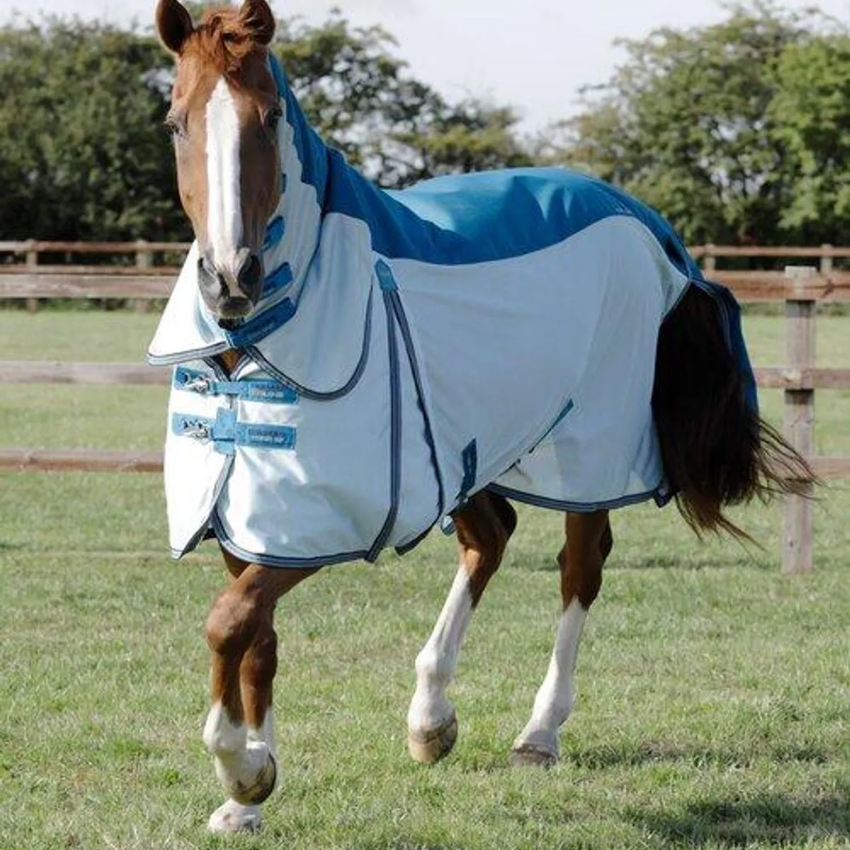 Premier Equine Stay-Dry Mesh Air Fly dækken - Blå - 6,0" (135cm)