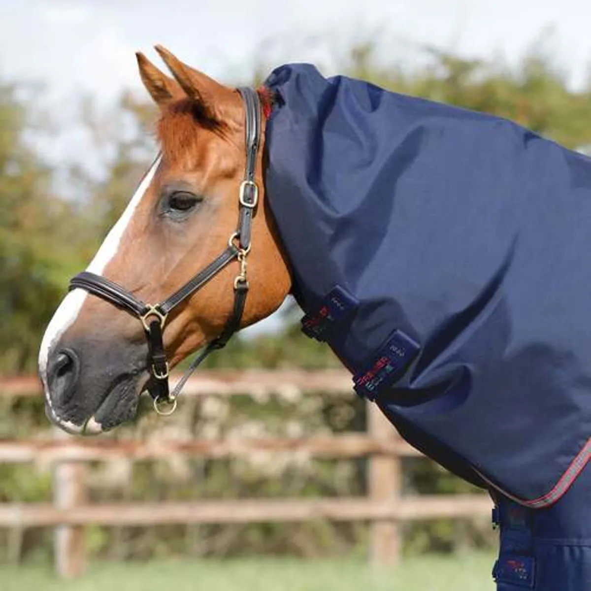 Premier Equine Titan dækkenhals - 100g - Navy, L