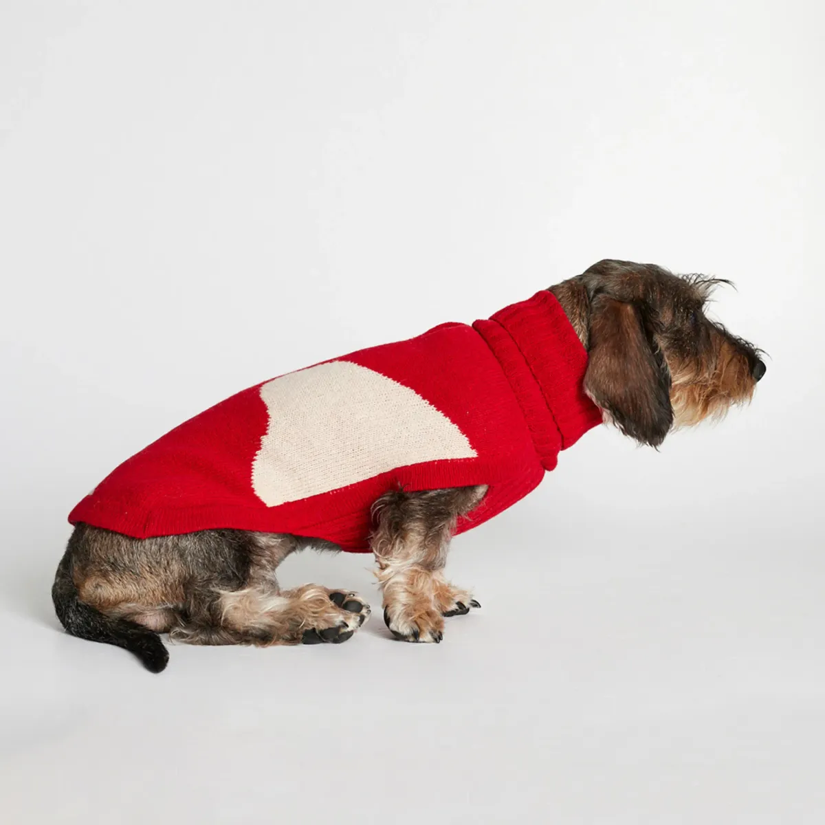 Rene Sweater // Hundesweater med adgang til sele (rød) - L