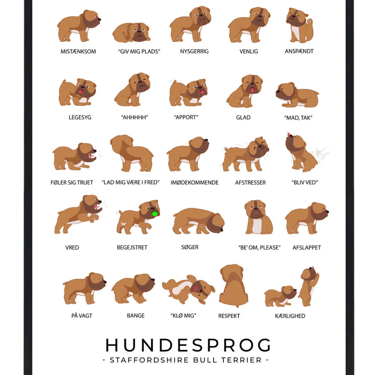 Staffordshire Bull Terrier plakat - Hundesprog (Størrelse: L - 50x70cm (B2))