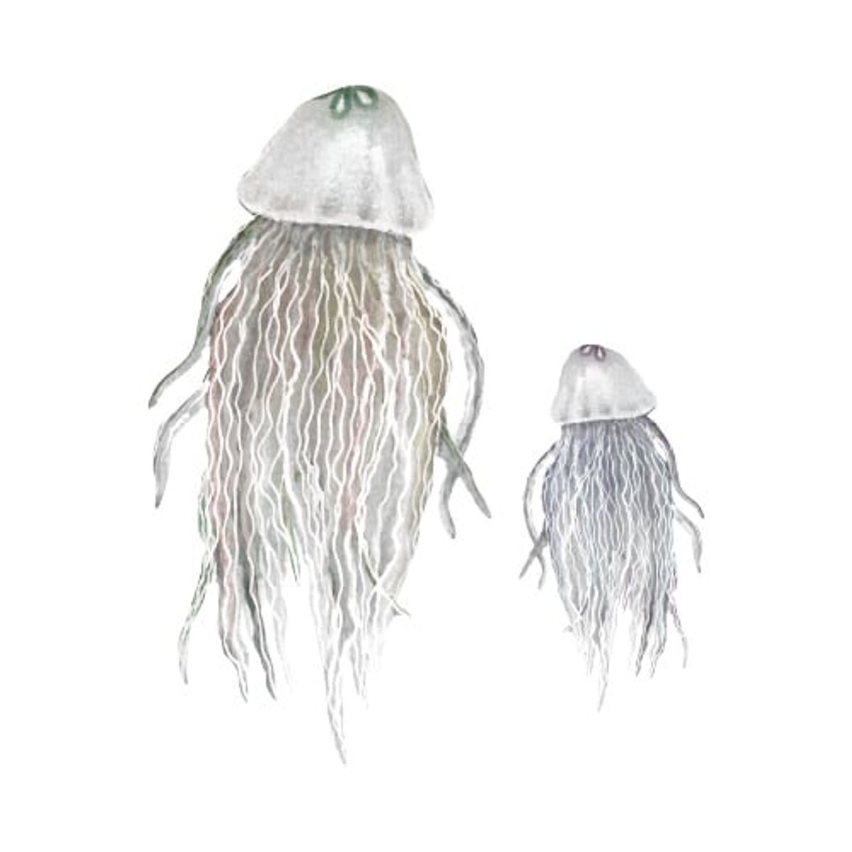 That's Mine - Wallsticker Jellyfish - Blue, green