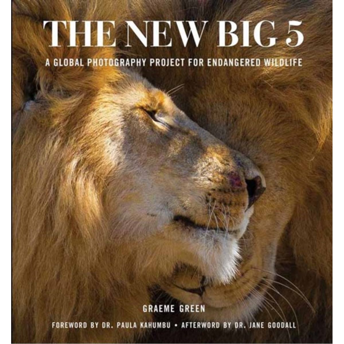 The New Big Five