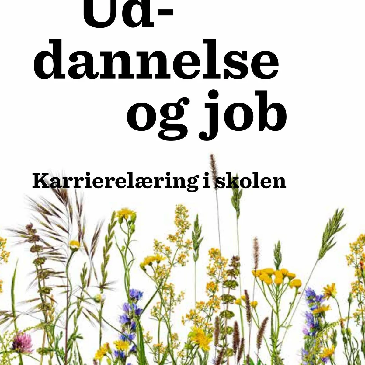 Uddannelse og job