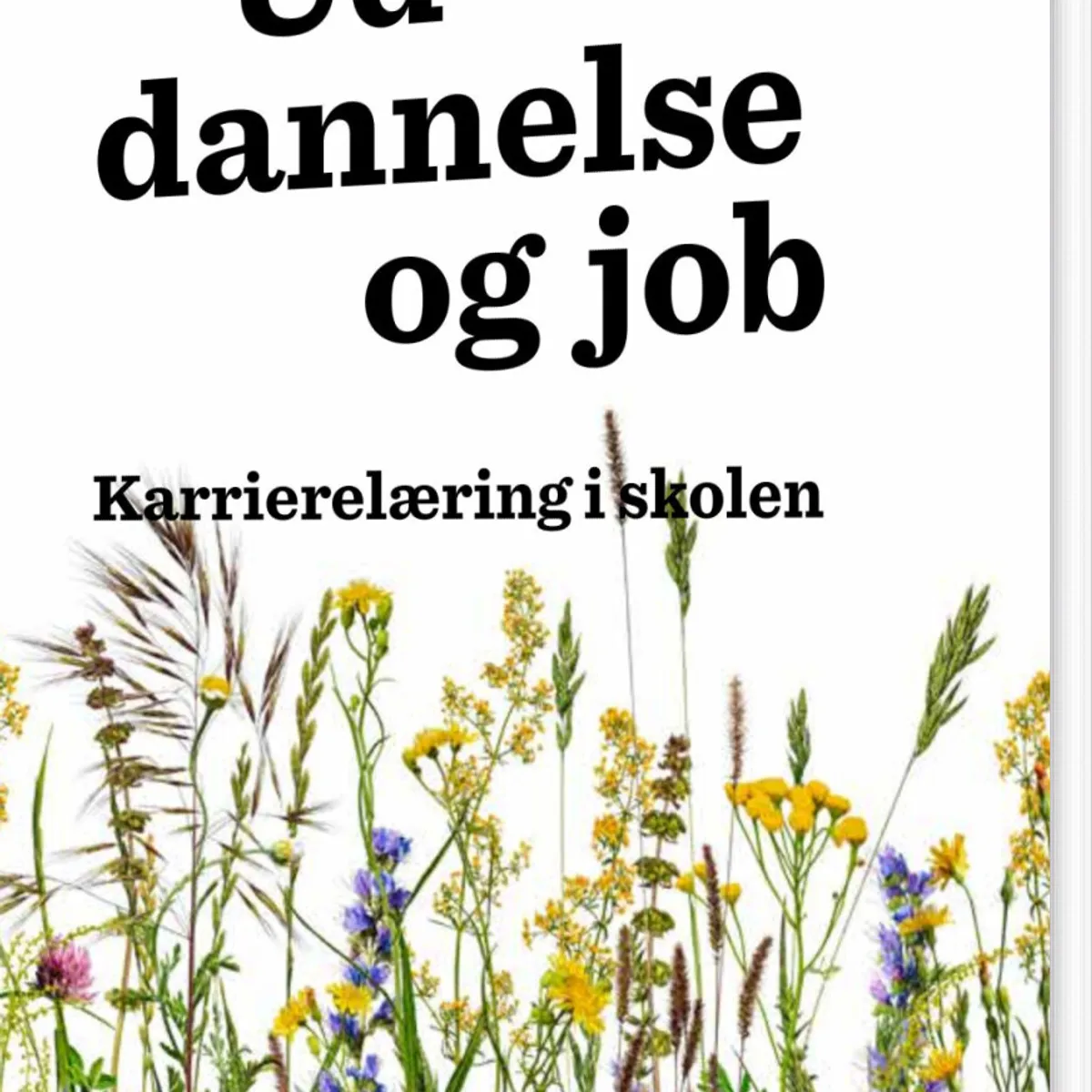 Uddannelse Og Job - Rita Buhl - Bog