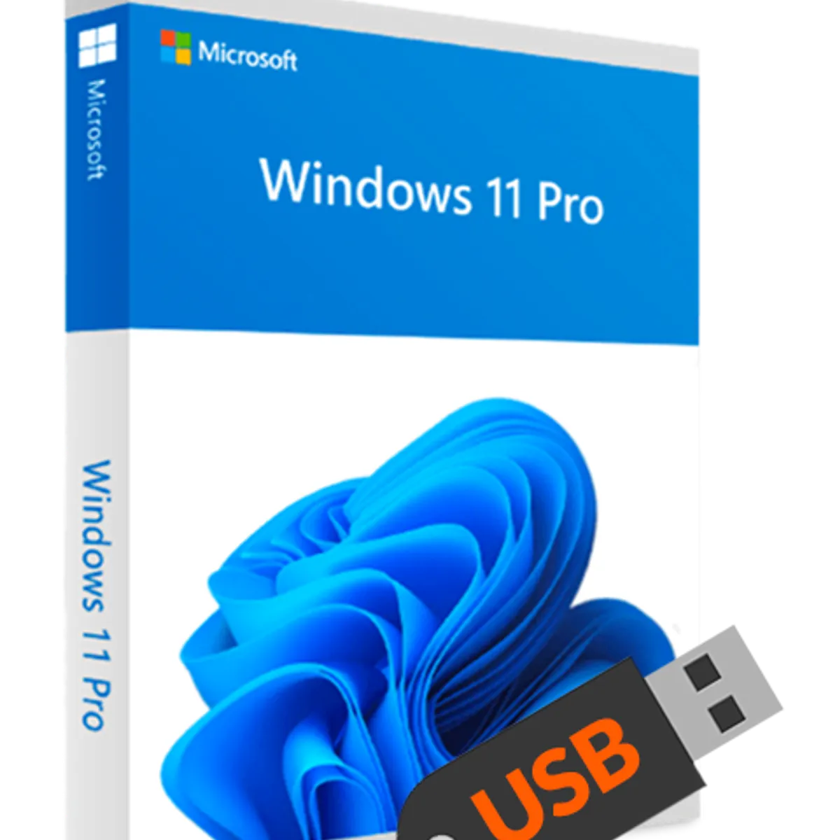 Windows 11 Professional USB uden licens