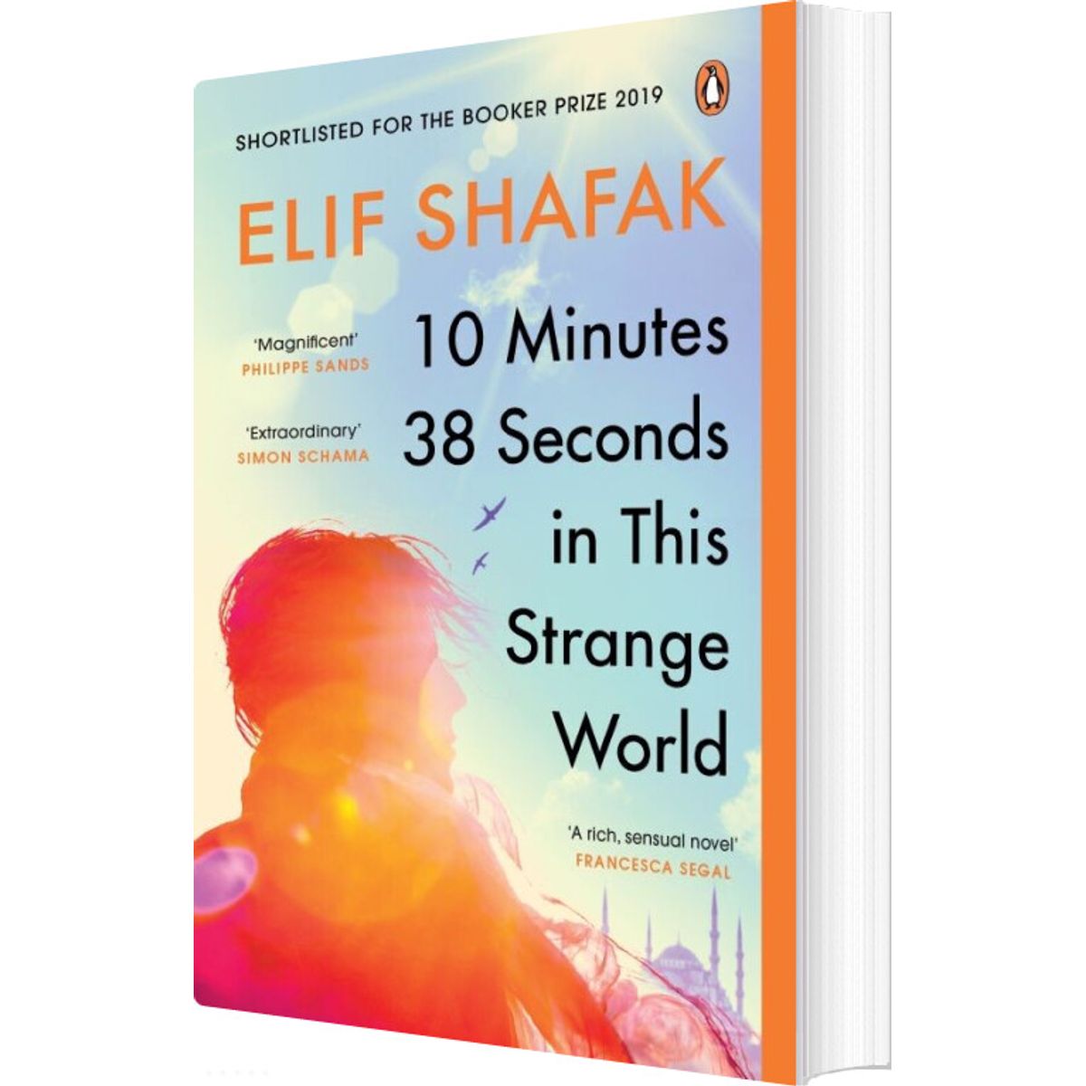 10 Minutes 38 Seconds In This Strange World - Elif Shafak - English Book