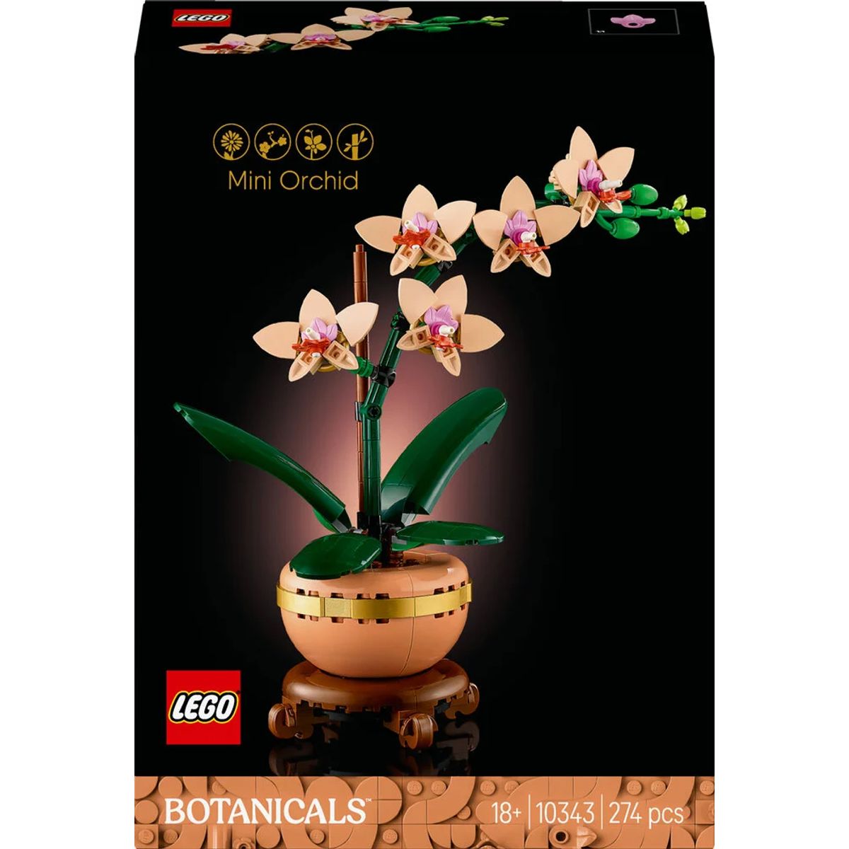 10343 Botanicals Mini-orkidé