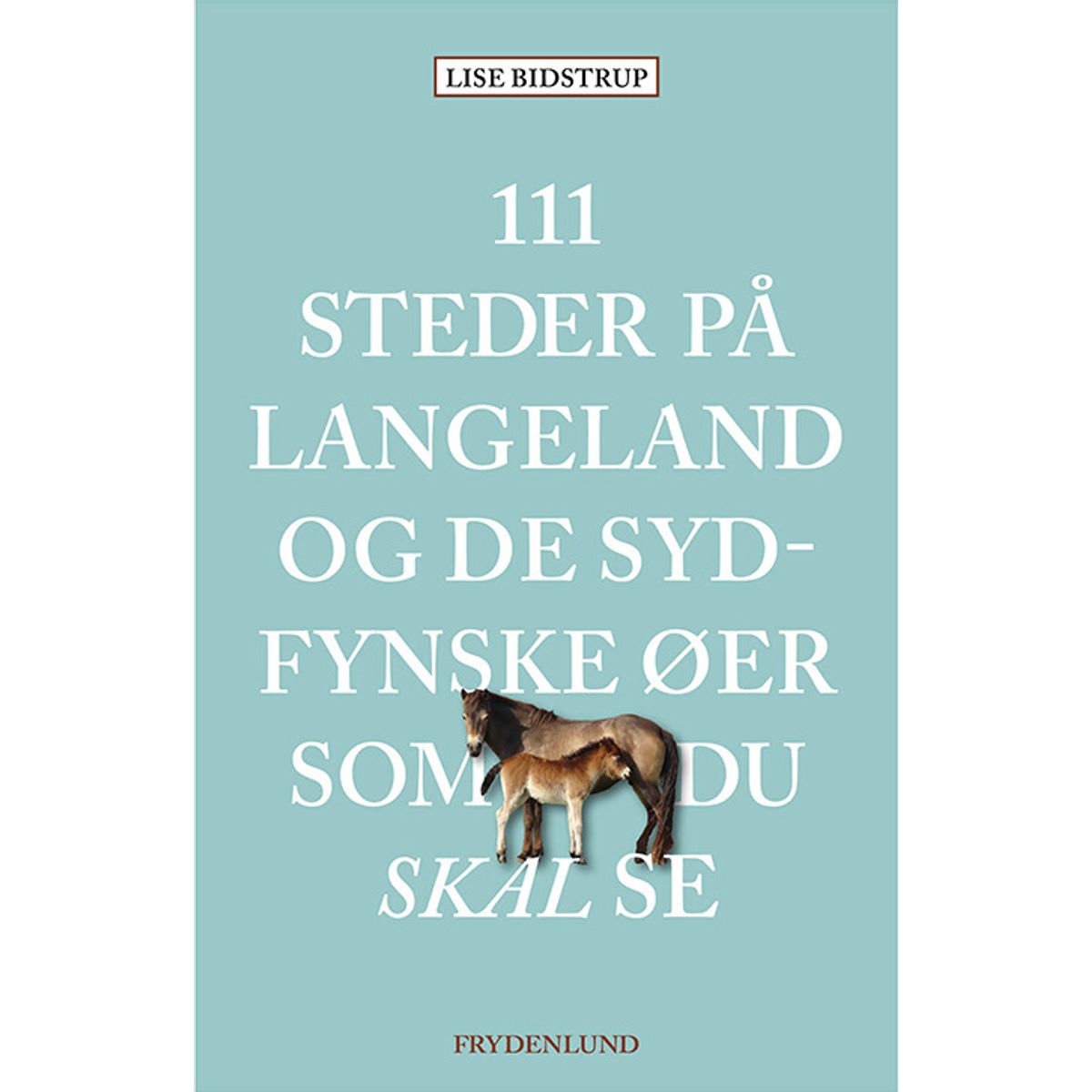 111 Steder På Langeland Og De Sydfynske øer Som Du Skal Se - Lise Bidstrup - Bog