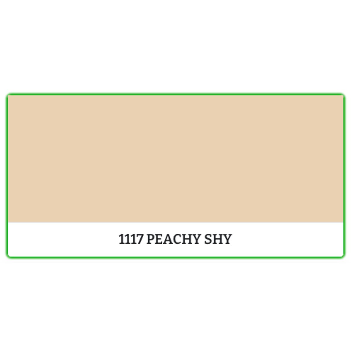 1117 - Peachy Sky - 0.45 L - Maling