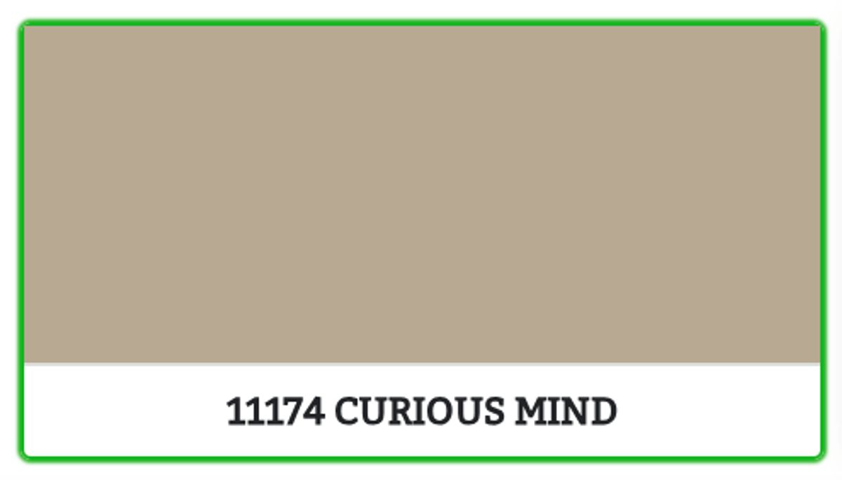 11174 - CURIOUS MIND - 0.68 L - Maling