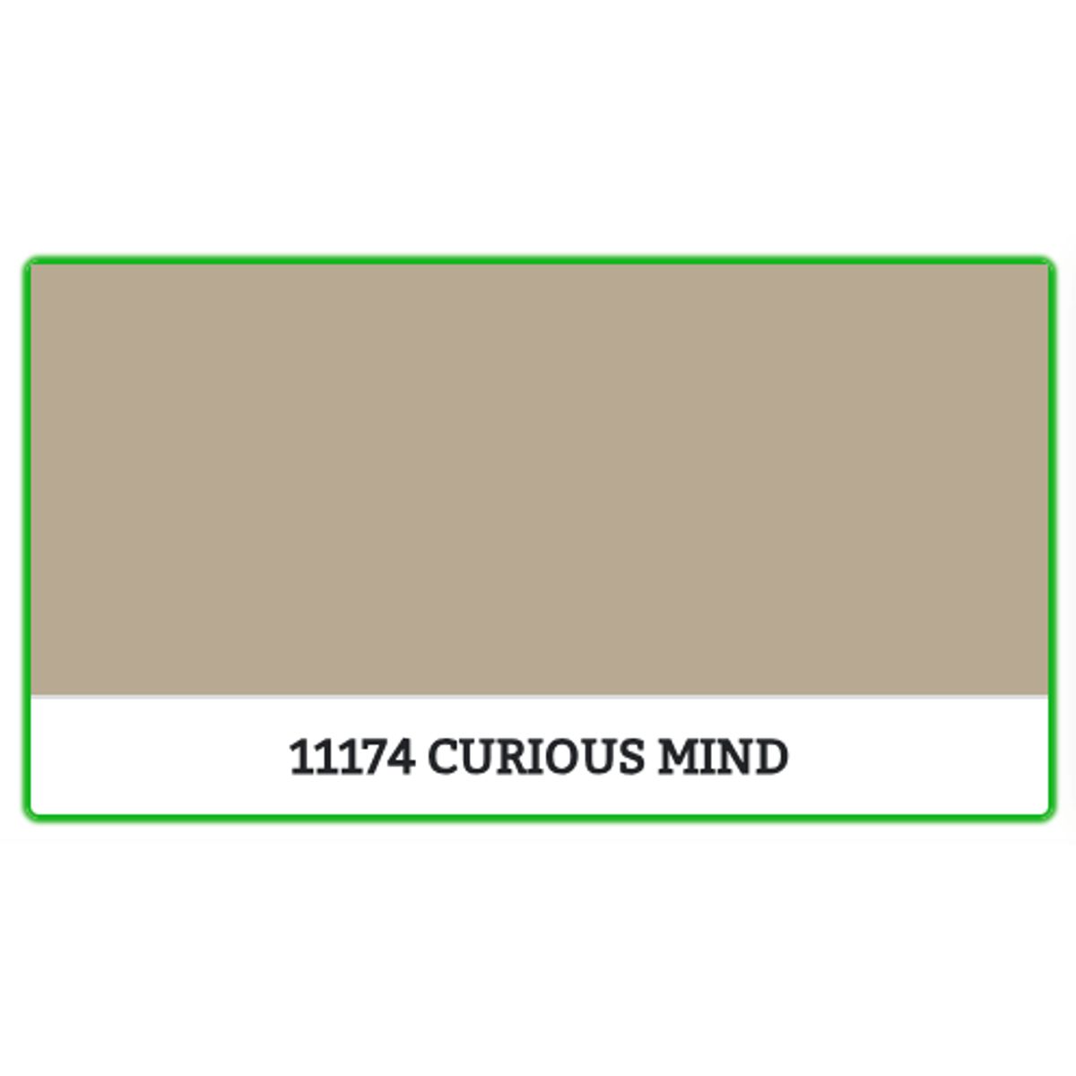 11174 - CURIOUS MIND - 9 L - Maling