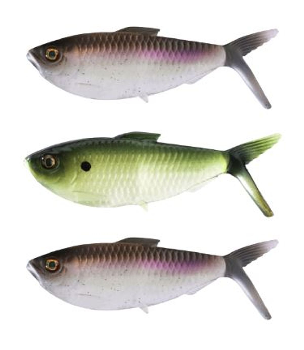 13 Fishing The Dine Swimbait - American Shad