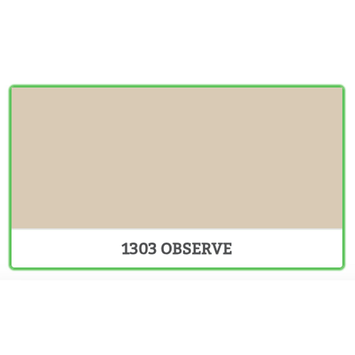 1303 - OBSERVE - 0.45 L - Maling