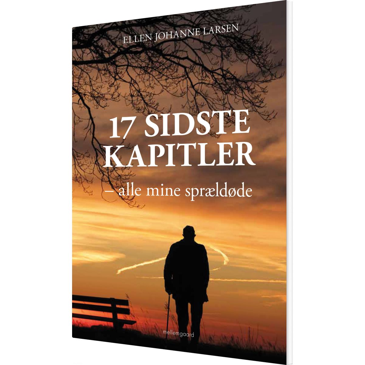 17 Sidste Kapitler - Ellen Johanne Larsen - Bog