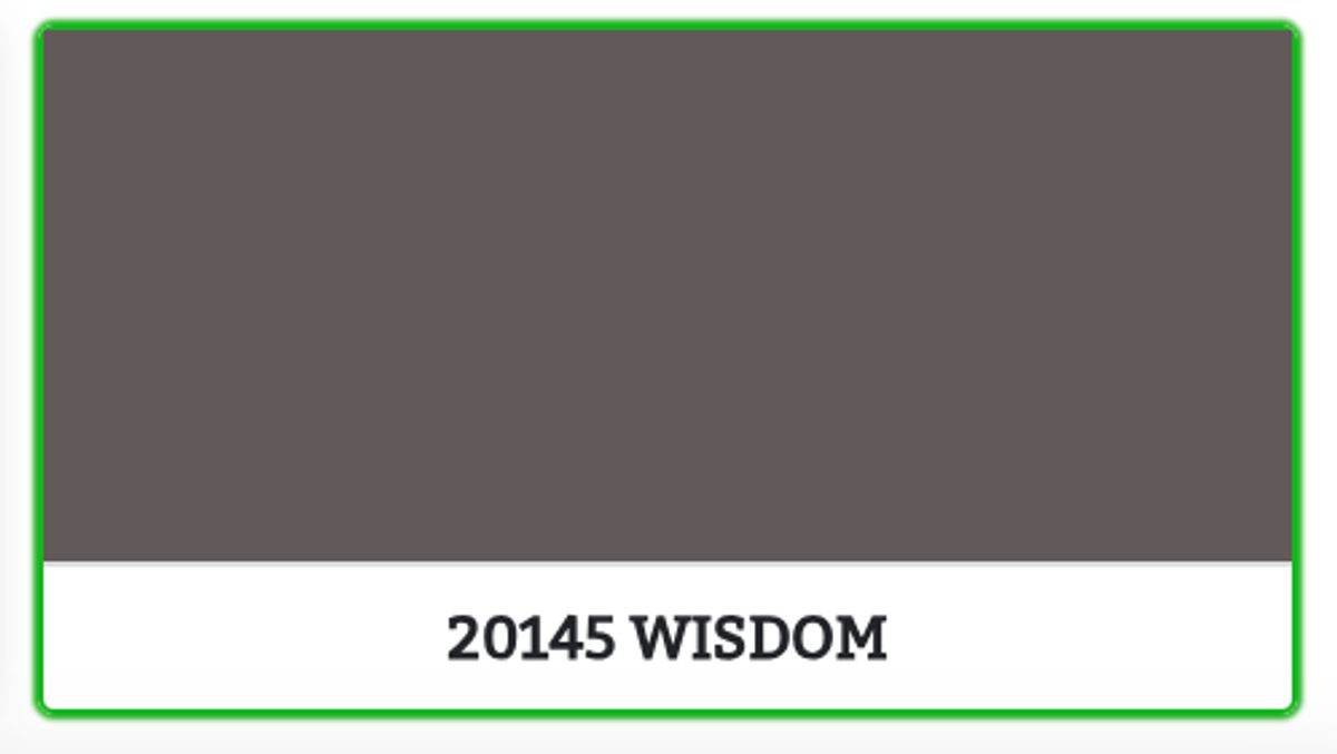 20145 - WISDOM - 0.68 L - Maling